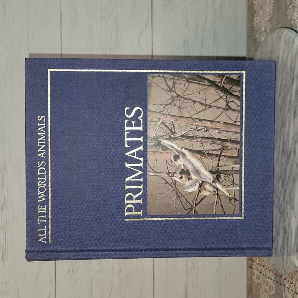 Vintage | 1984 All the World's Animals | Primates Book